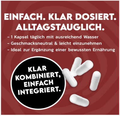 INLEAD Shilajit Extrakt mit Vitamin C Dose 120 Kapseln